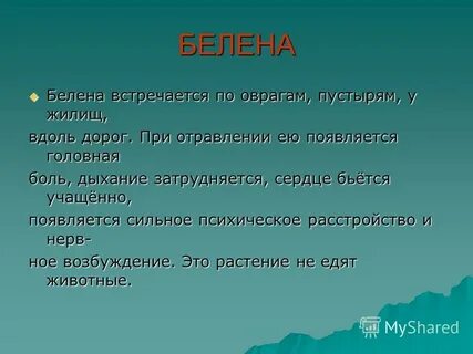 Беленные