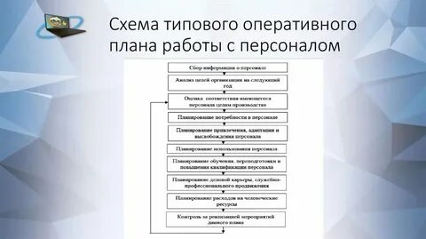 К органам оперативного управления относятся