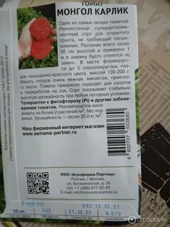Томат монгол карлик характеристика отзывы фото