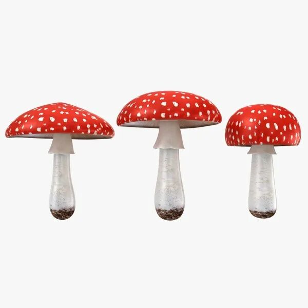 Грибы 3 д. Мухомор 3d модель. amanita tomato модель. грибы 3d. гриб 3д модель.