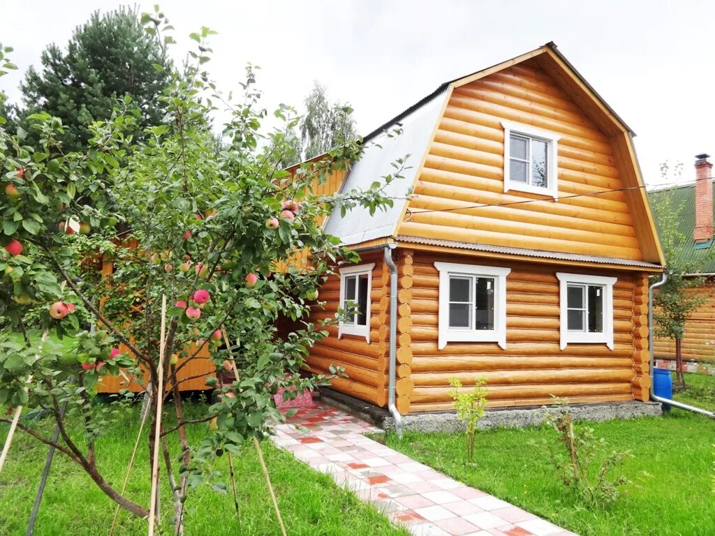 Садовое некоммерческое товарищество (снт). Дачный домик с участком. Зименки нижегородская область богородский район. Заброшенный земельный участок. Снт березняки тюмень.