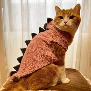 Костюм дракона для кота