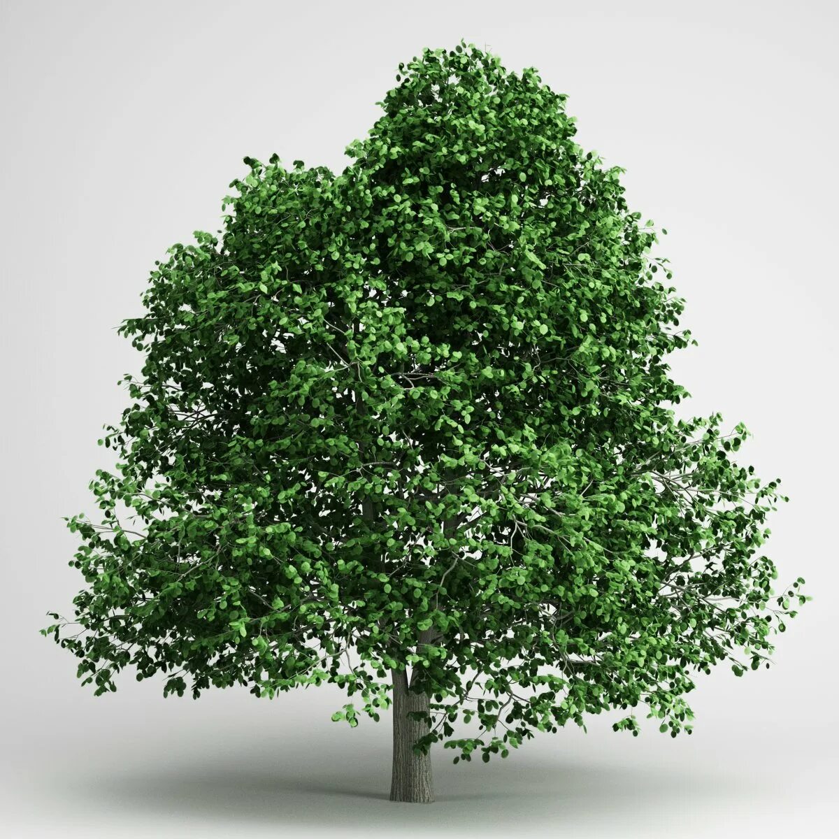 Tree 3. Деревья в 3ds max. дерево для 3d max. 3ds max tree model. 3ds max 2d деревья.