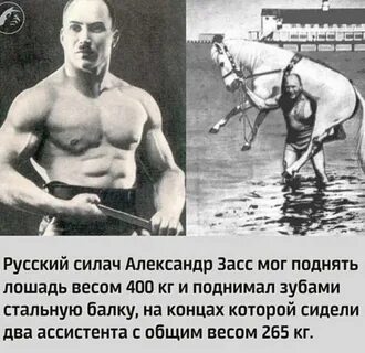 Сколько поднимает лошадь