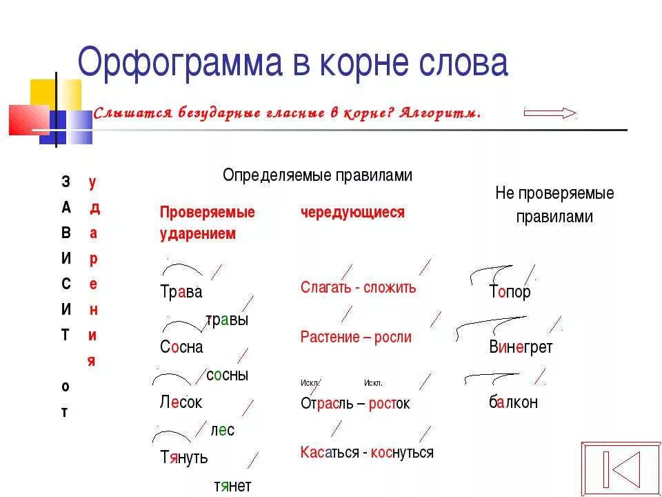 Выделить орфограммы в тексте. Подчеркнуть орфограммы в тексте. Выделить орфограммы в словах. Как выделить орфограмму в слове. Орфограмма слова вырасти