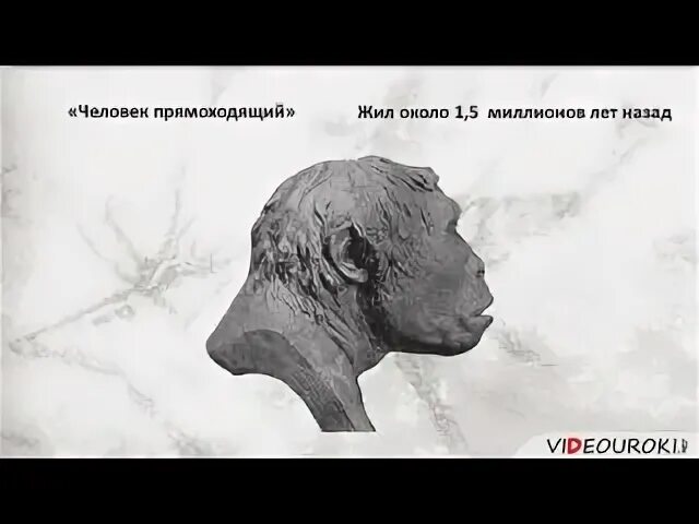 Видеоурок по истории древнейшие люди