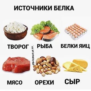 Без содержится белок