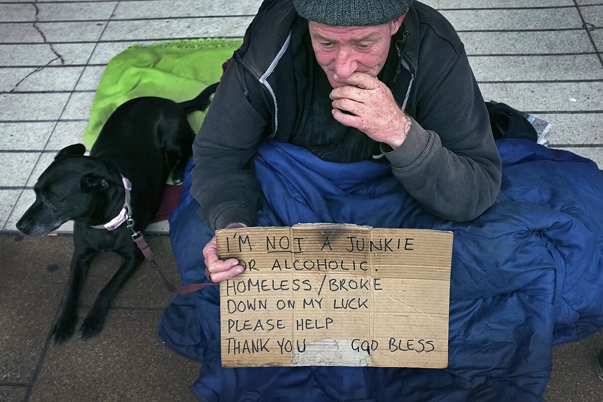 Helping homeless. Ways to help homeless. Homeless buddy. Homeless man help. Some animals go to a shelter