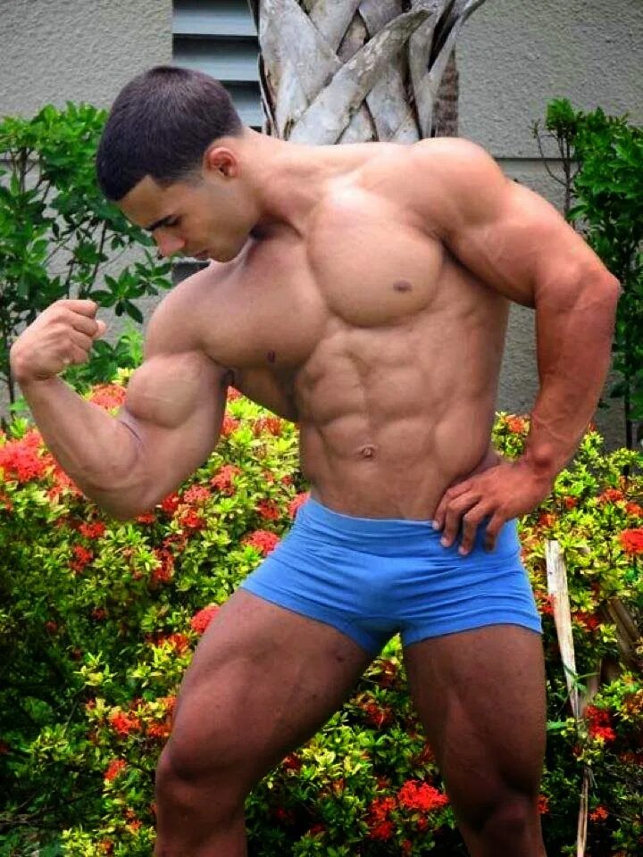 Соло качков. Массивные мускулы. Массивные мышцы. Массивные парни. Голубые культуристы.