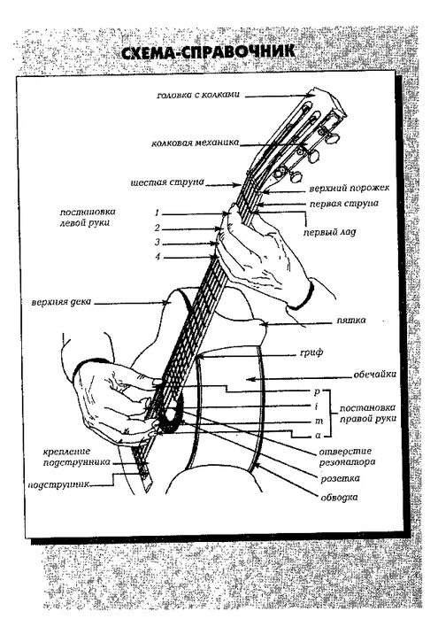 Как играть пальцами на гитаре. Схема пальцев для игры на гитаре. Название пальцев для игры на гитаре. Правильная постановка пальцев на гитаре. Правильная постановка рук на гитаре.