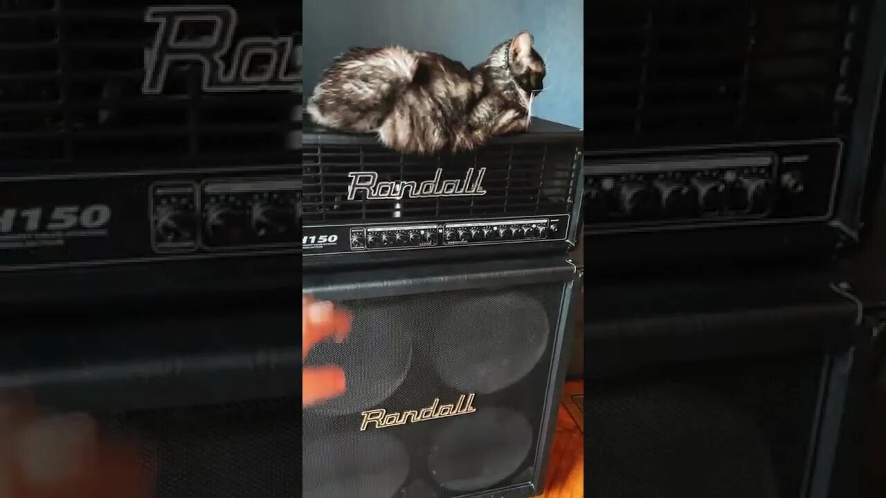 гитарный стек mesa boogie. Marshall 410. стек 4 12. Mesa boogie 4×12. Mesa dual rectifier стек.