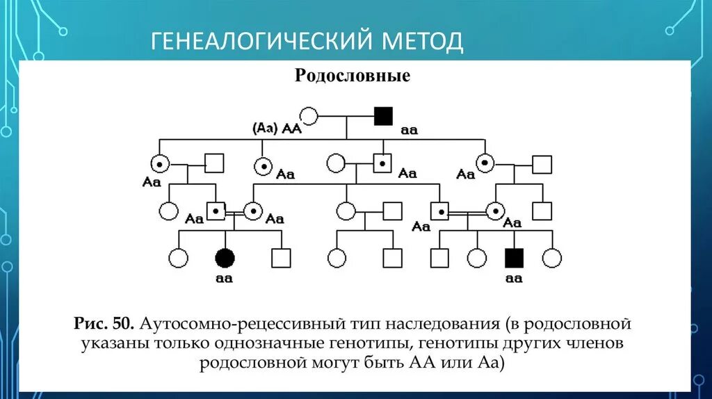 Генеалогический метод схема родословной. Тип наследования аутосомно-рецессивный это в биологии. Генеалогический метод наследования. Родословная с заболеваниями по генетике.