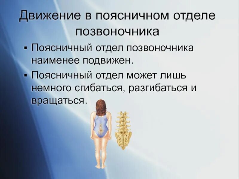 Движения в поясничном отделе позвоночника. Диапазон движения позвоночника в поясничном отделе. Наименее подвижный отдел позвоночника. Поясничный отдел подвижный. Движения поясничного отдела позвоночника