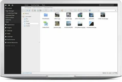 Cms files