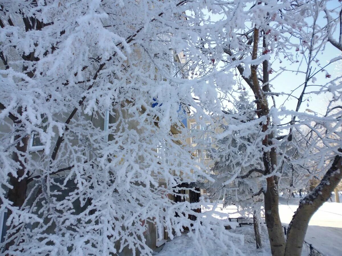 падающий снег. пушистые хлопья снега. хлопья снега. макросъемка природа зима. хлопья снега.