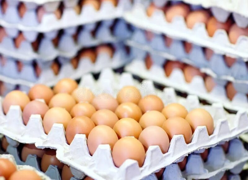 Много яиц. Яйца в картонной коробке. Много яиц в Азии. Много яиц бегунков.