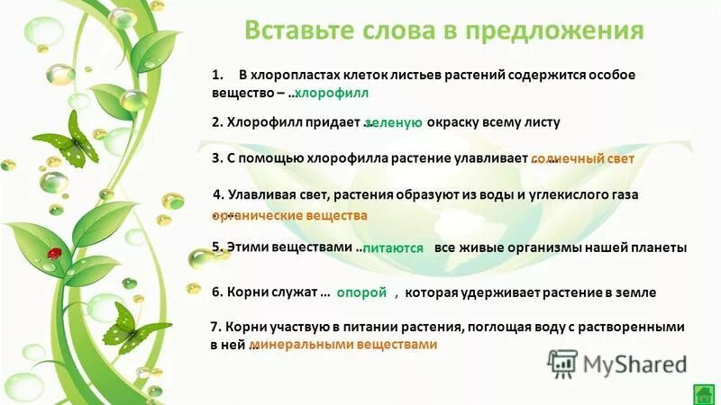 что символизирует зеленый цвет. зелёные оттенки цветов названия. определение слова зеленый. интересные факты о зеленом цвете. отценки зелёного цвета.