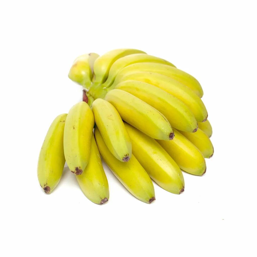 Где купить банан. Бананы мини, 1 кг. Бейби банан. Бананы мини на белом фоне. Бэби банан сорт.