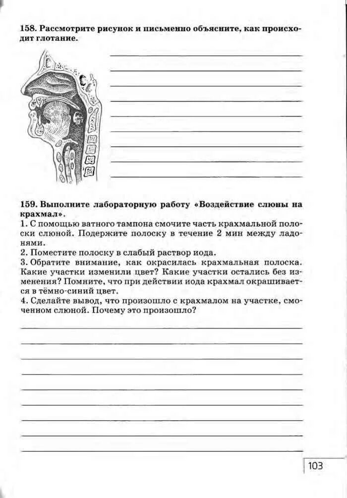 Биология 8 класс рабочая тетрадь агафонова. Биология 8 класс рабочая тетрадь Сонин Агафонова. Пищеварение 8 класс Сонин. Рассмотрите рисунок и письменно объясните как происходит глотание. Пищеварение Сонин Сапин 8 класс биология.