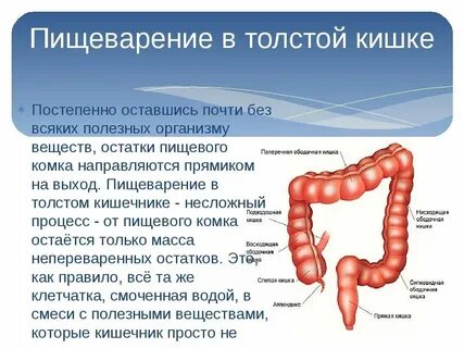 Болезнь прямой кишки симптомы