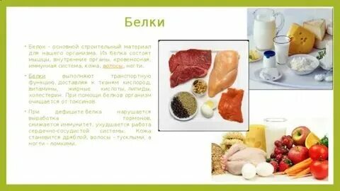 Почему белок полезный