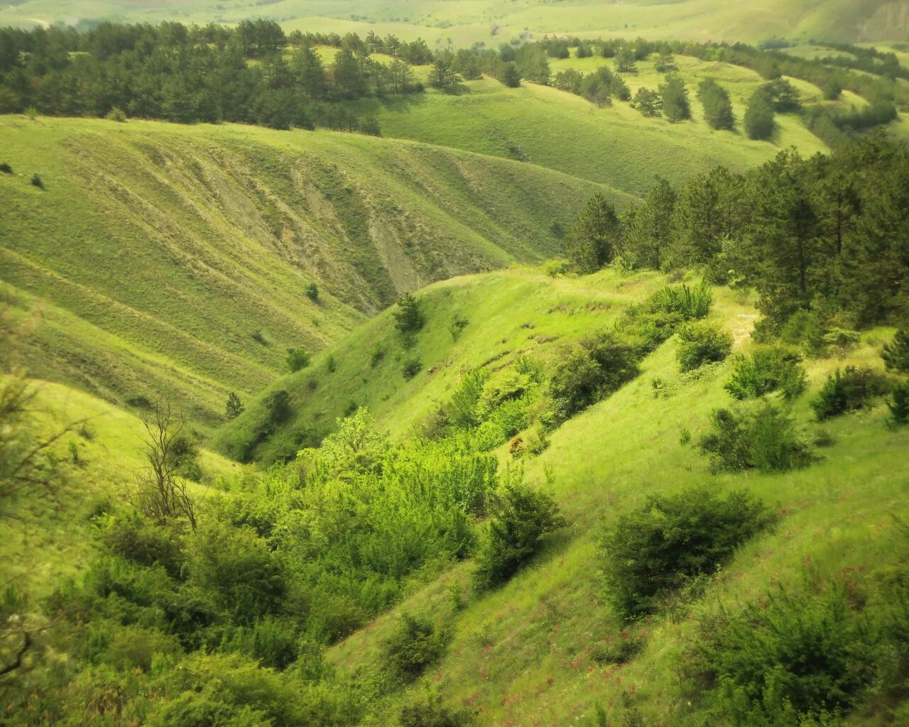 Там где близ поверхности есть. Форосские ворота крым. Там где близ поверхности есть. Ю. Викторина 4 класс окружающий мир природа нашего края.