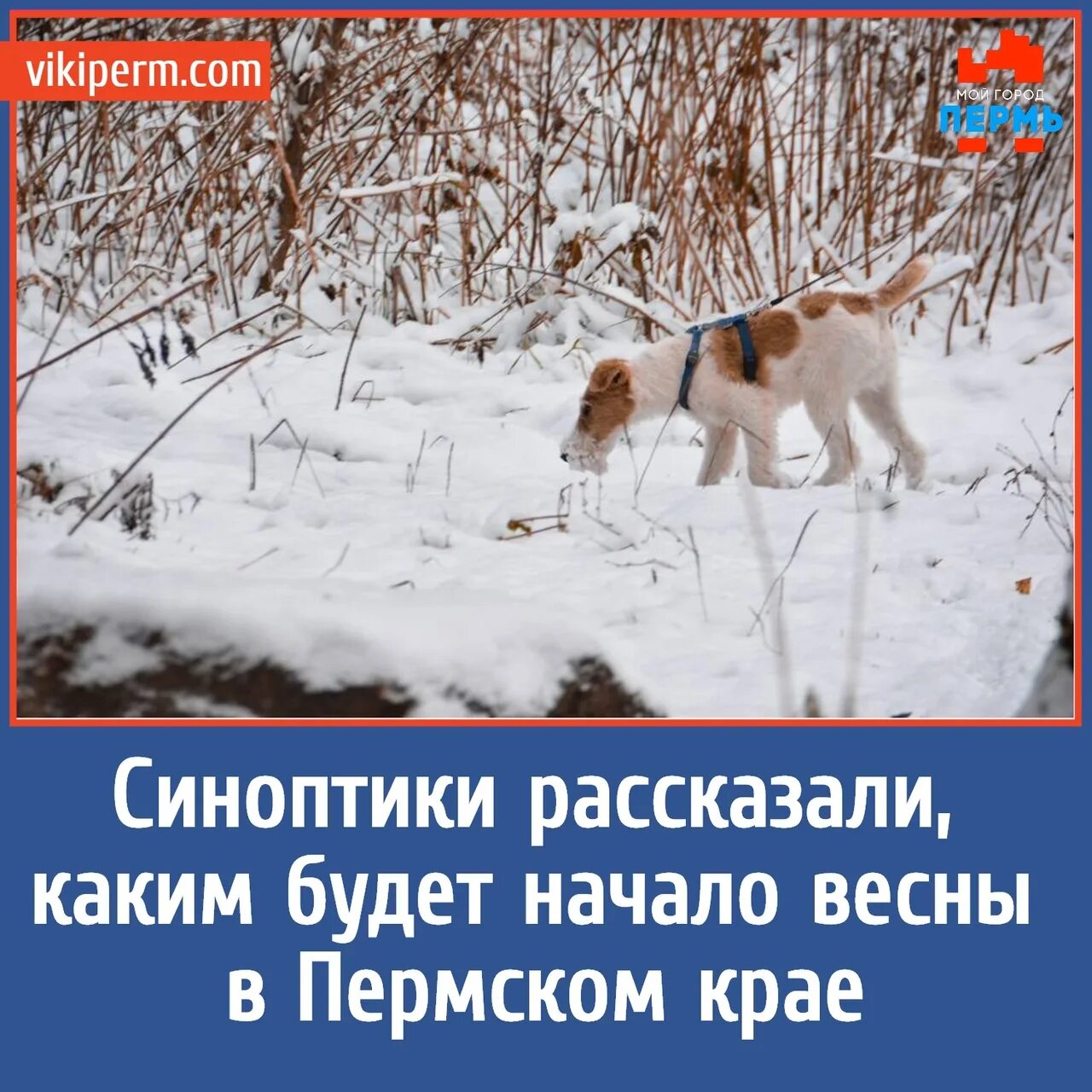 Когда потеплеет в пермском крае. Пермский край весна. весна в пермском крае заголовок. набираешь считаться по теме животные синоптики. какая будет весна в 2025 в пермском крае.