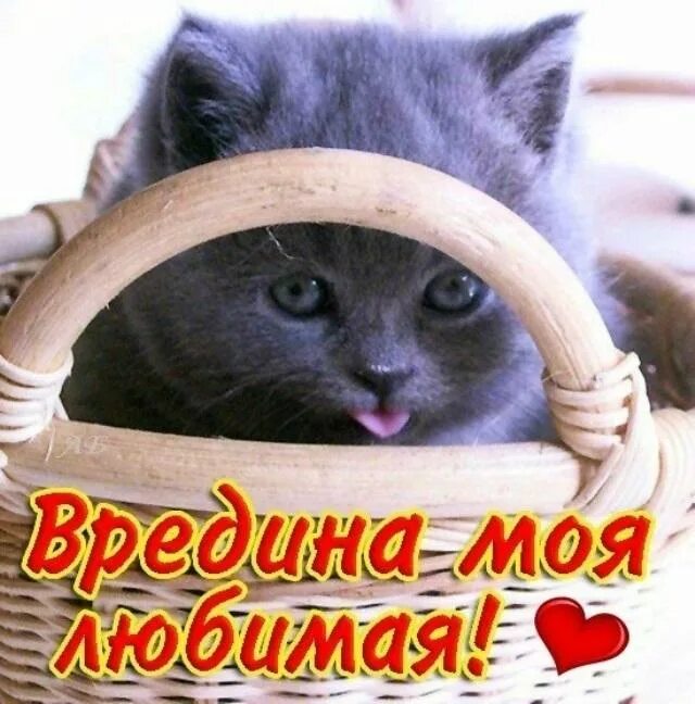 Поздравления с днём рождения любимая. Вредина моя любимая. Я люблю русский язык!. Включи нам мою любимую. Надпись мои друзья.