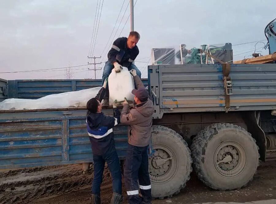 Выплаты после наводнения