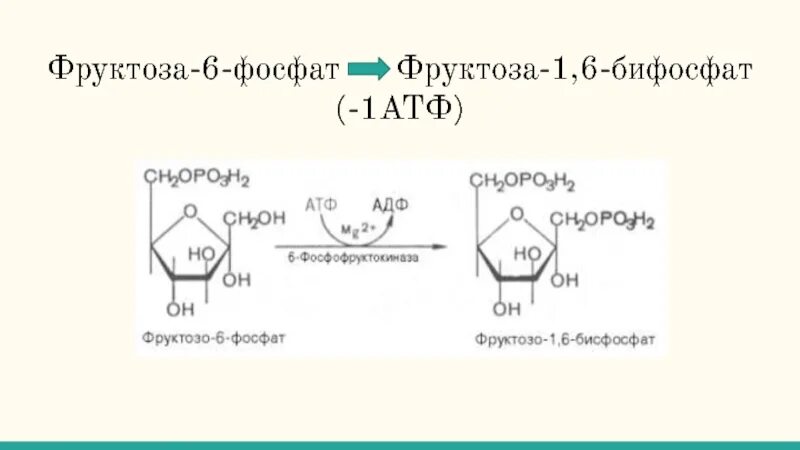 Фруктоза АТФ фруктозо 6 фосфат. Фруктоза во фруктозу 6 фосфат. Д фруктозо 6 фосфат. : Фруктоза - фруктозо 6 фосфат - глюкозо 6 фосфат..