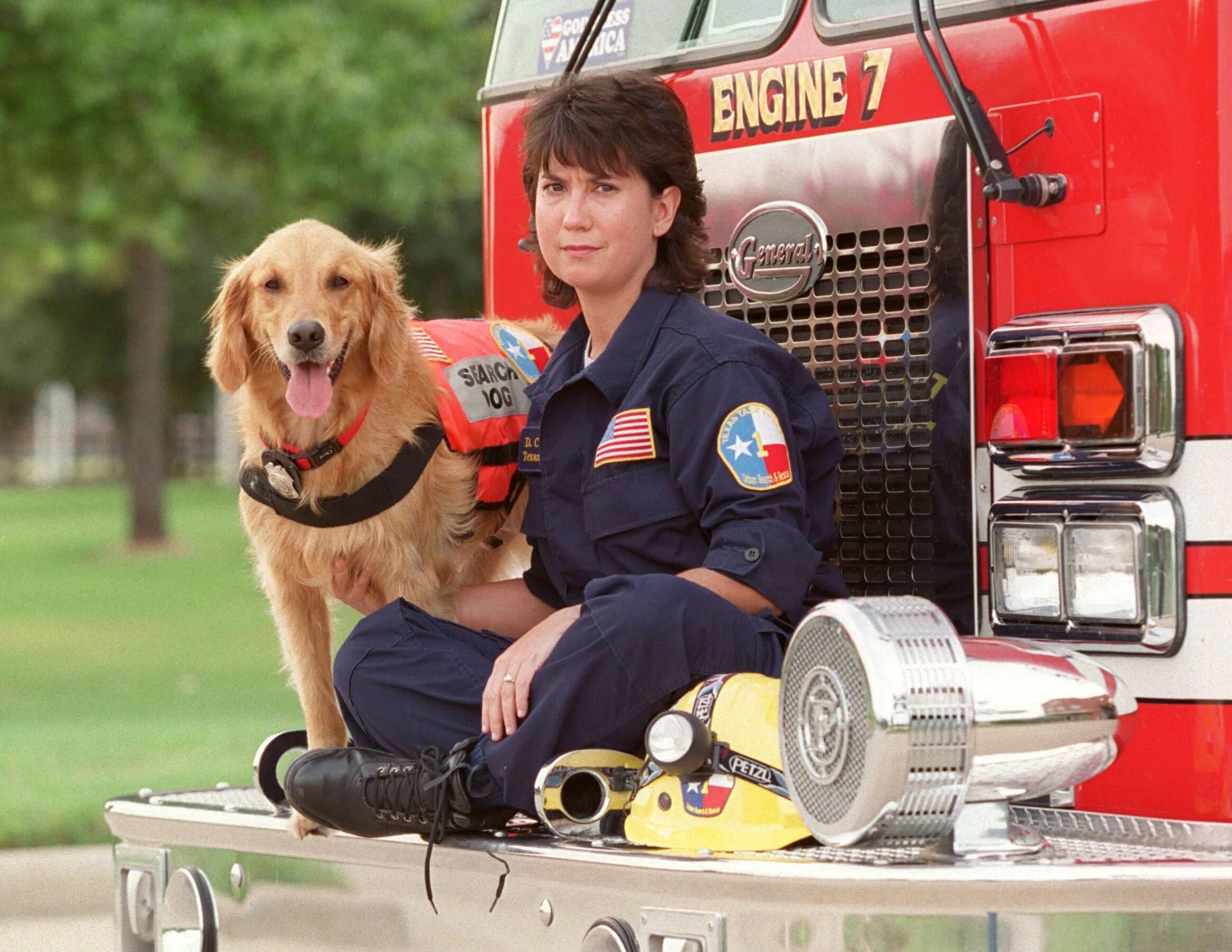 Пожарные собаки. Собака пожарник. Собаки пожарные спасатели. Служебные собаки пожарные.