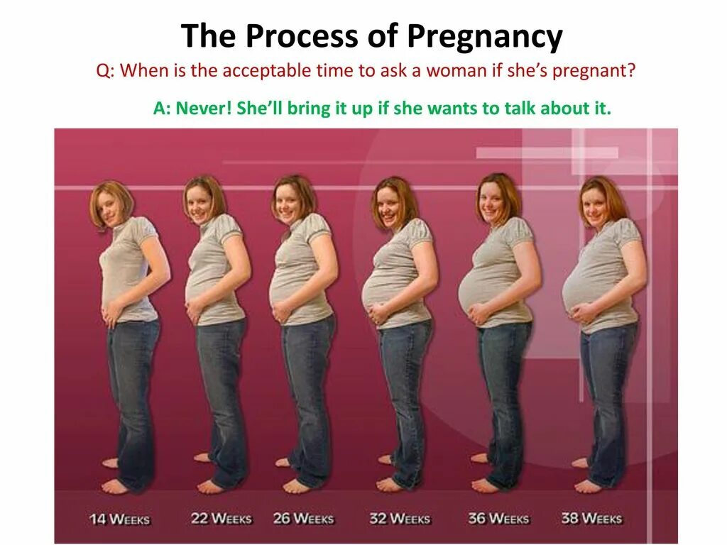 Месяцы беременности. Живот по неделям беременности. Размер живота по месяцам. Размер живота по месяцам беременности. 6 й месяц