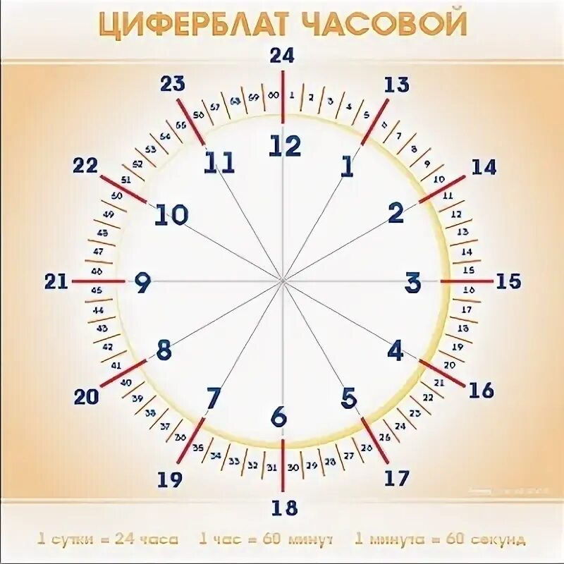 0 24 в минутах. Циферблат часов для детей. Часы циферблат для детей. Часовой циферблат для детей. Часы с минутами для детей.