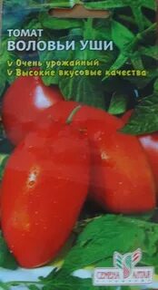 Томат воловьи уши