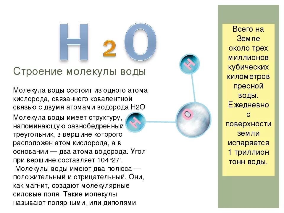 Молекула воды и водорода. Строение молекулы кислорода. Строение молекулы воды. Молекула воды состоит из. Газ 3 атома кислорода