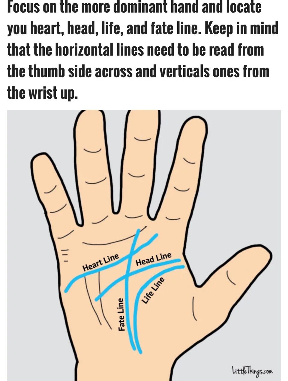 Сюжетная линия. Чья линия. Структура текста повествования схема. Чья линия. Прямые и кривые линии для дошкольников.