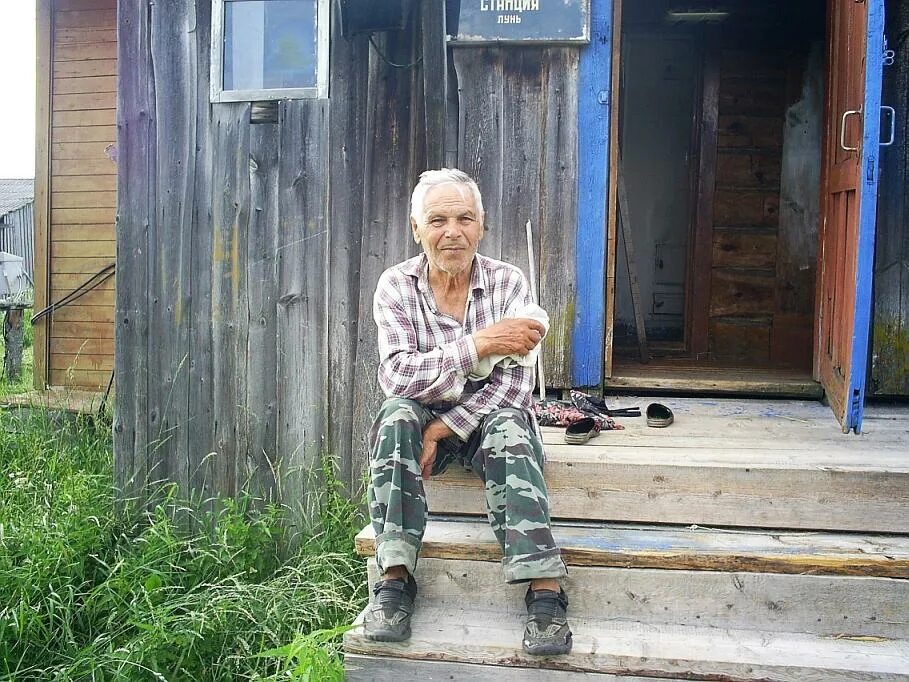 метеостанция лунь. метеостанция лунь. аксенов лунь летит на фоне леса. австралийский болотный лунь. лунь метеостанция богородск.