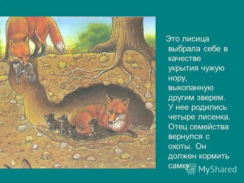 Про лису и ее норку
