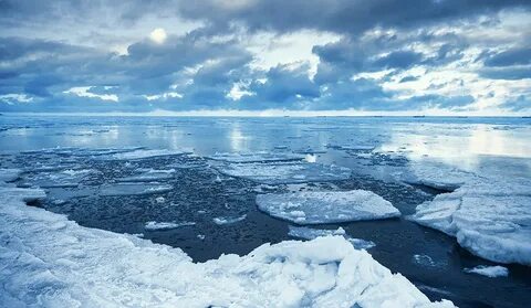 The sea ice