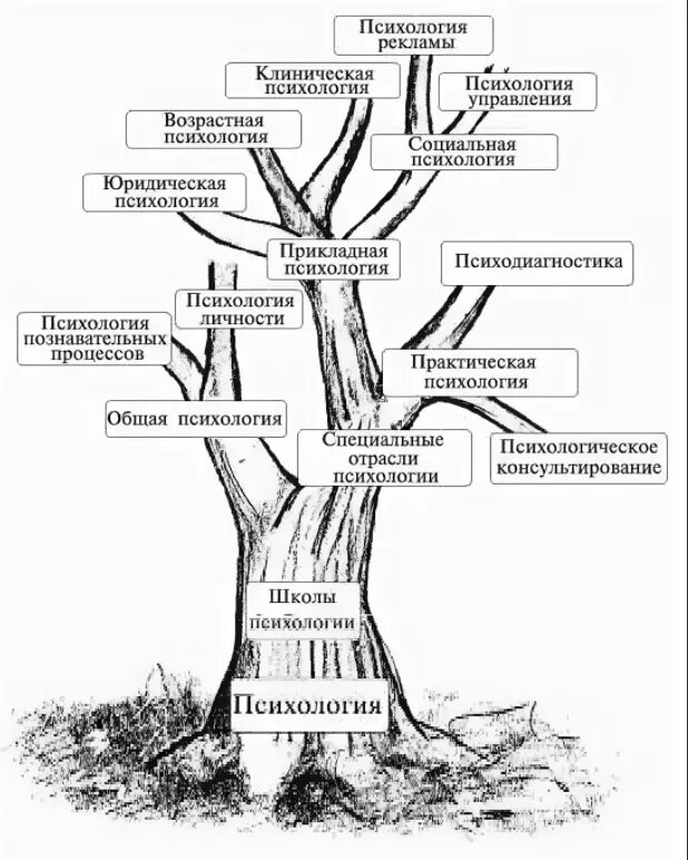 Пример дерева понятий