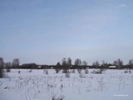 Погода в д покоево
