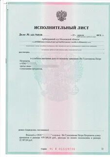 Вид исполнительного листа