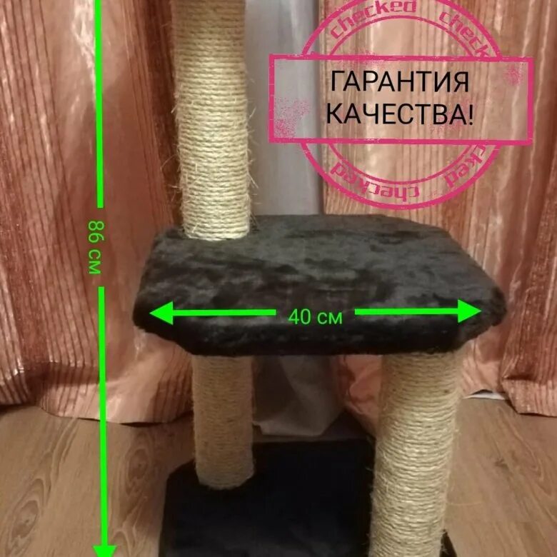 6 Ways to Train a Cat - wikiHow