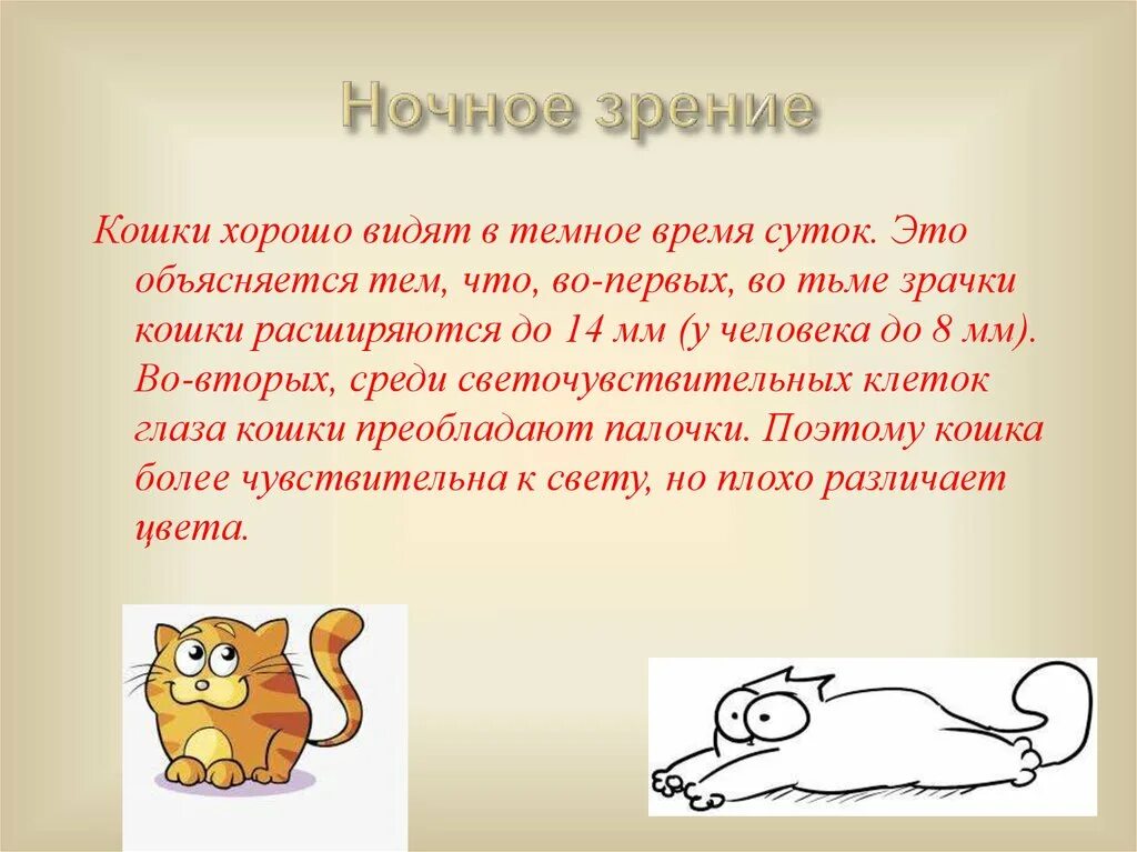 Ночное зрение пе. Что отвечает за ночное зрение. Цвета которые кошки хорошо воспринимают. Животные обладающие ночным зрением. Зрение кошки примеры.