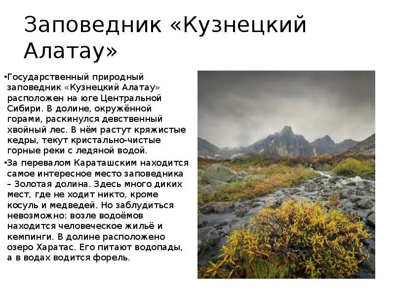 Сообщение о заповеднике. Презентация на тему заповедники россии 6 класс. презентация заповедники россии 5 класс. кузнецкий алатау доклад. кузнецкий алатау заповедник сообщение.