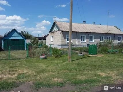 Новая жизнь воронежская область