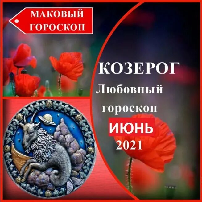 Козерог любовный гороскоп. Маковый гороскоп Козерог. Маковый гороскоп дзен. Маковый гороскоп Козерог январь.