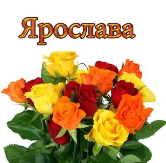 Поздравления с днем рождения ярославу
