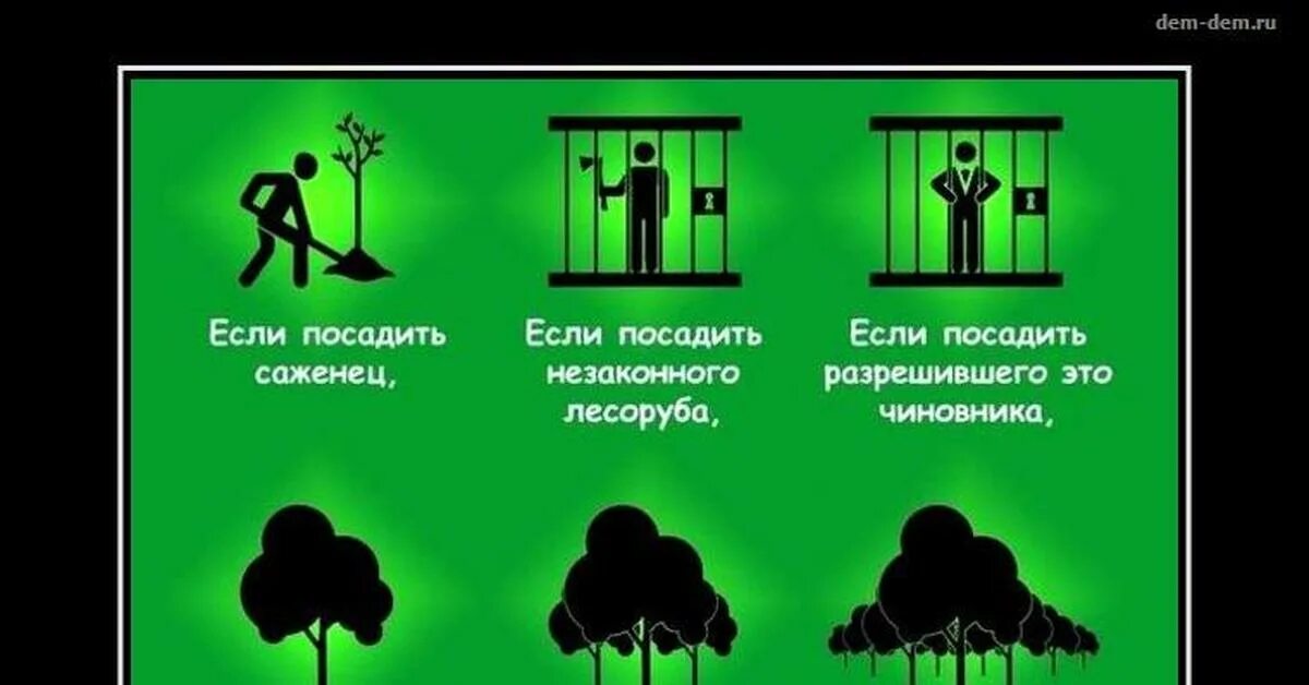 Как правильно сеяте или сеете. Посадил дерево прикол. Сажайте правильно. Сажать деревья прикол. Смешная посадка деревьев.