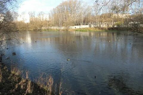 Почему пруд называется пруд